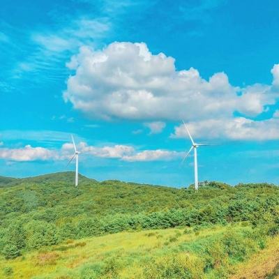 小辛格姆板球手机版下载